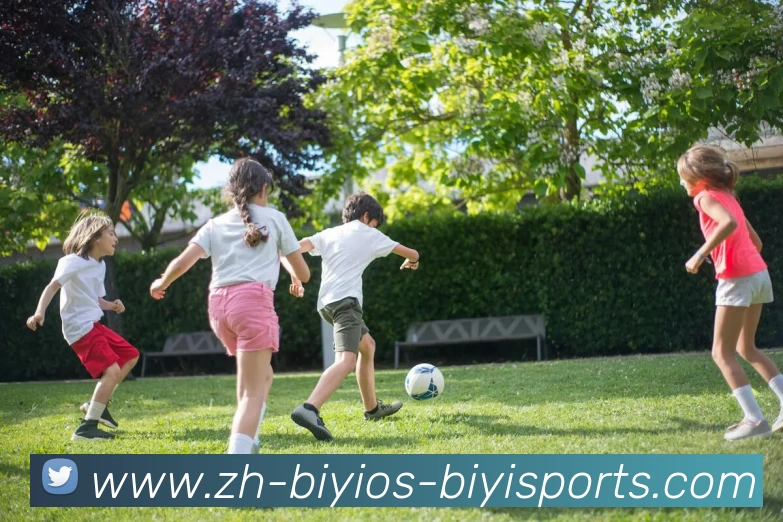 必一体育平台生态图