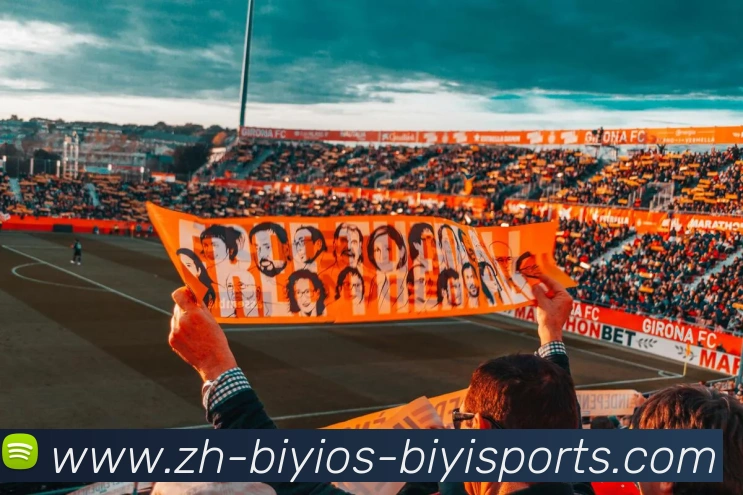 App Interface Preview